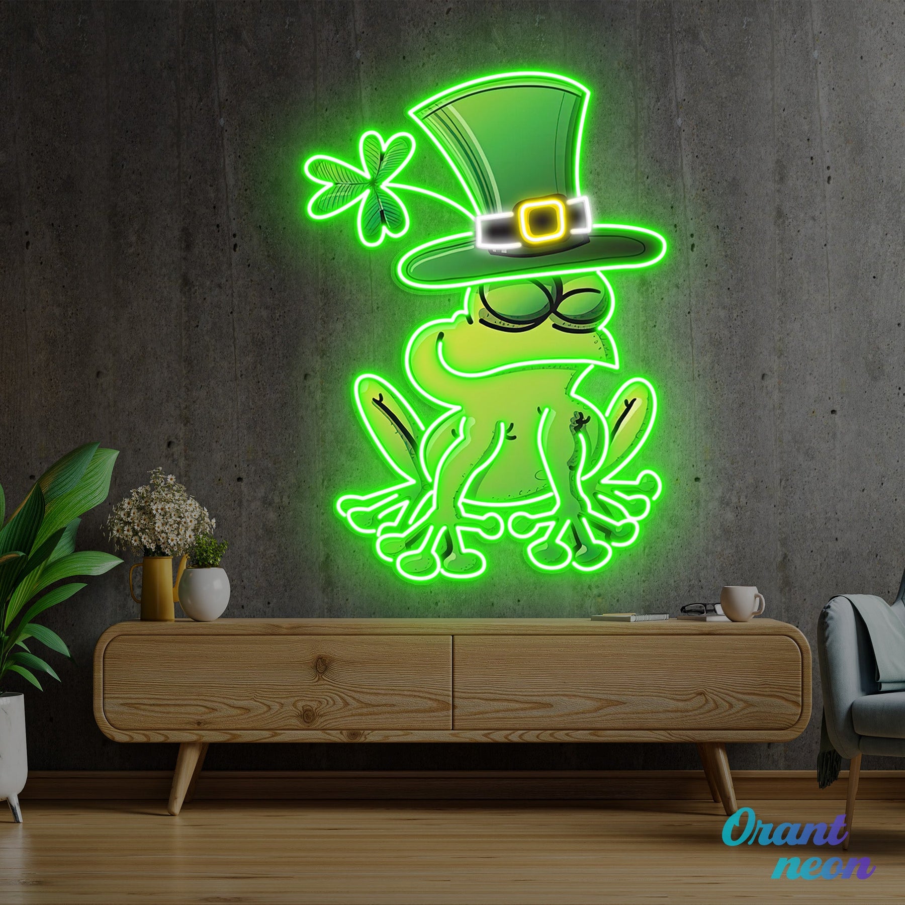 Patrick's Day Frog Wearing Hat and Sleeping Led Neon Acrylic Artwork