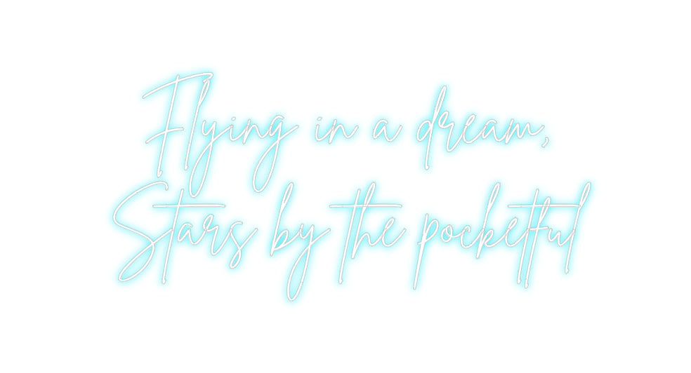 Custom Neon: Flying in a d...