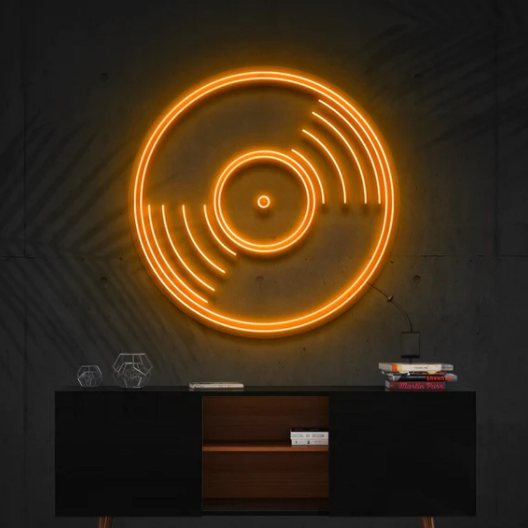 Vinyl Record