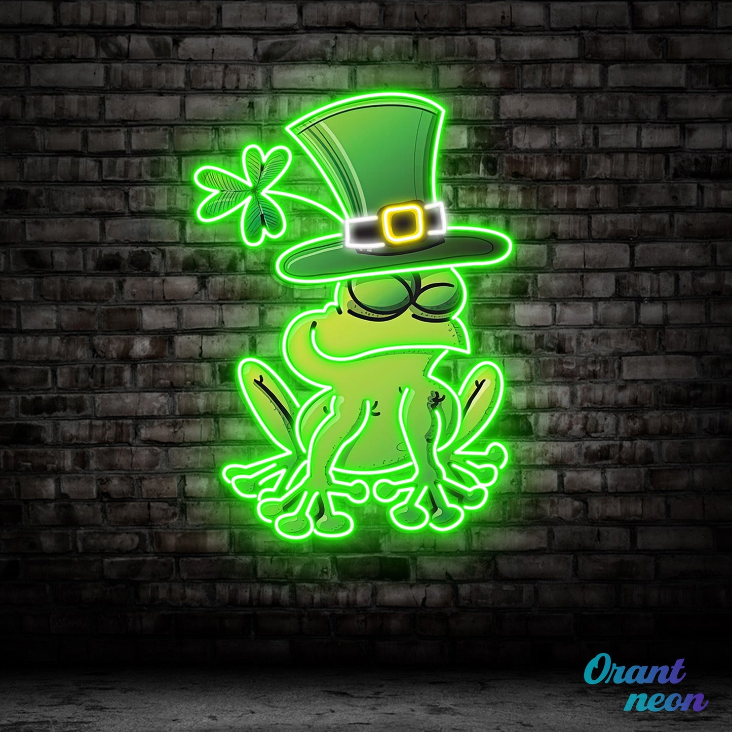 Patrick's Day Frog Wearing Hat and Sleeping Led Neon Acrylic Artwork