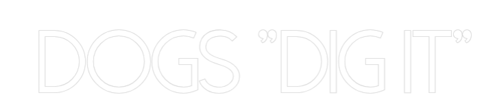 Custom Neon: DOGS "DIG IT"