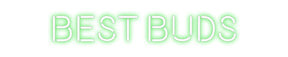 Custom Neon: BEST BUDS
