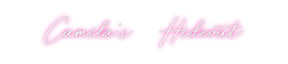 Custom Neon: Camila’s Hi...