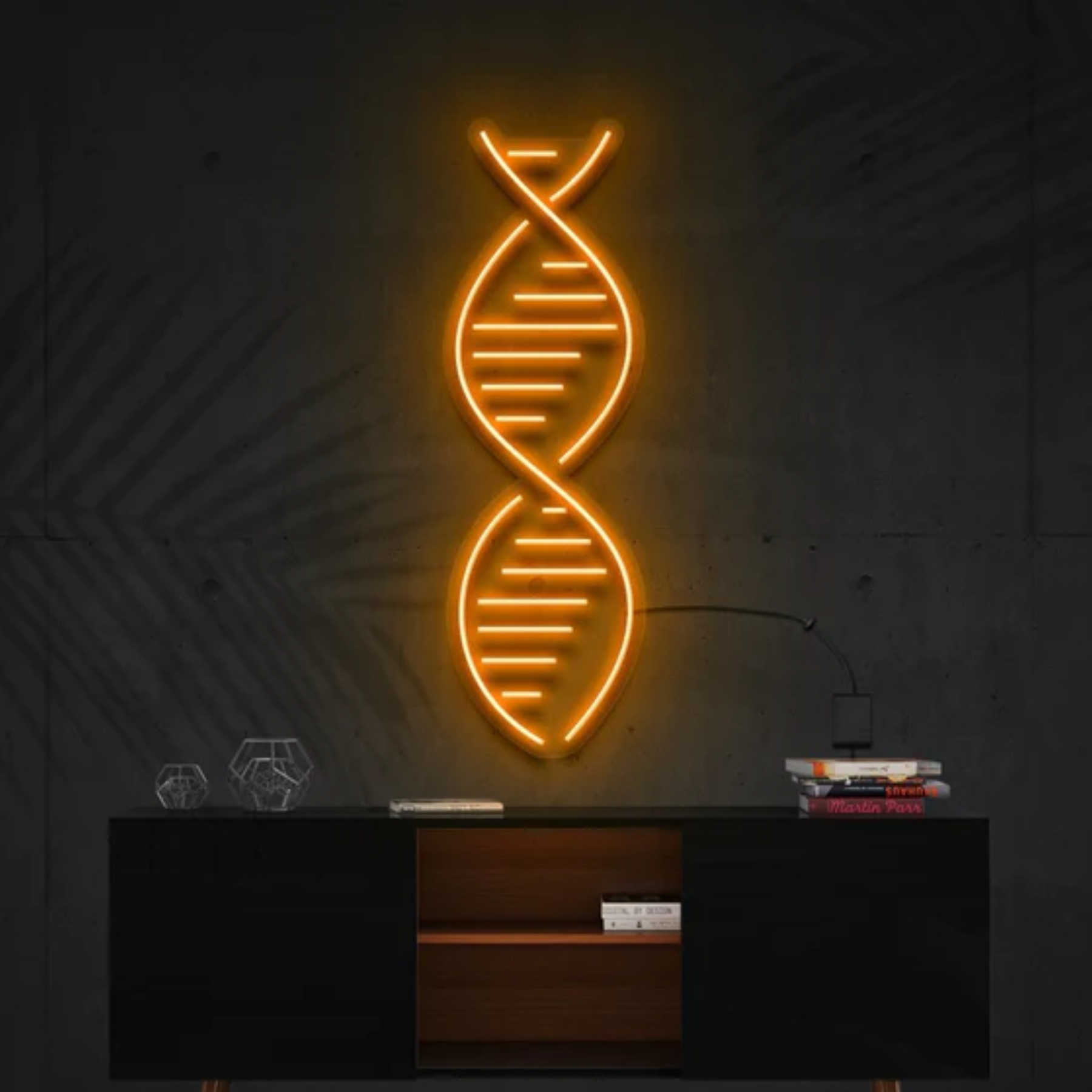 DNA